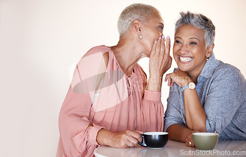 Image of Senior women, bonding or whispering secrets in coffee shop, restaurant or cafe and funny gossip, news or story. Smile, happy or retirement elderly friends whispering in ear or sharing in rumor spread
