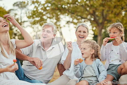 Image of Summer, park and family on picnic with fruit enjoying summer holiday, vacation and weekend together. Big family, love and grandparents, parents and children eating, bonding and relaxing outdoors