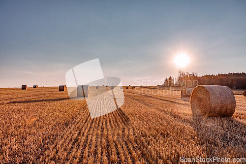 Image of Straw bales stacked in a field at summer time in sunset