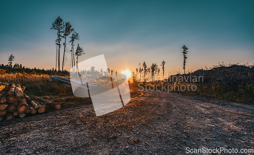 Image of summer sunset in countryside