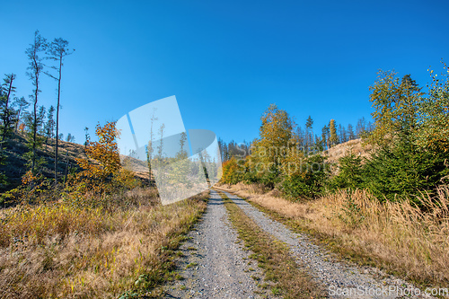 Image of Countryside landscape, late summer, with fall colored tree