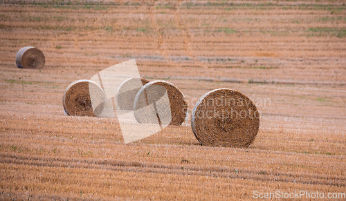 Image of Straw bales stacked in a field at summer time