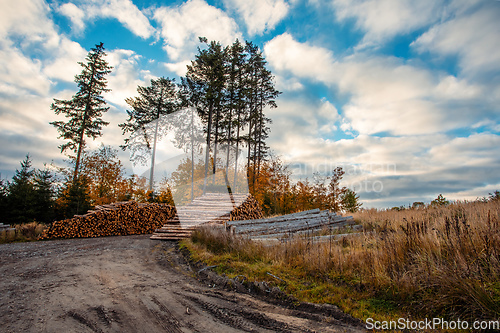 Image of Countryside landscape with a heap of timbers