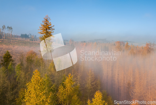 Image of Aerial view of autumn countryside, traditional fall landscape in centra Europe