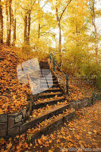 Image of Stone staircase leading up a walkway in autumn