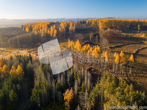 Image of Aerial view of autumn countryside, traditional fall landscape in central Europe