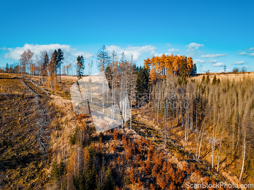 Image of Aerial view of autumn countryside, traditional fall landscape in central Europe