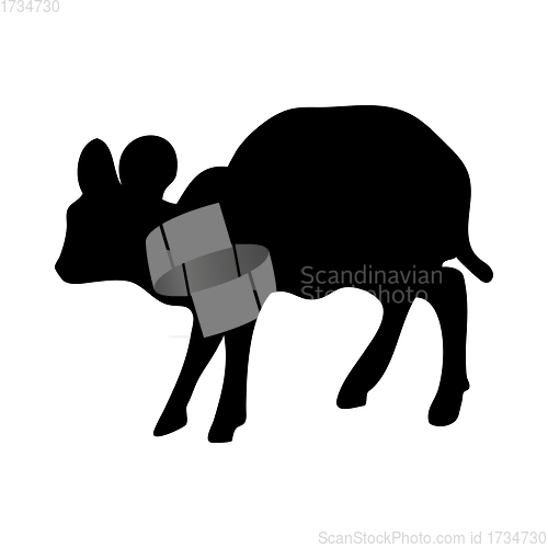 Image of Pygmy Antelope Silhouette