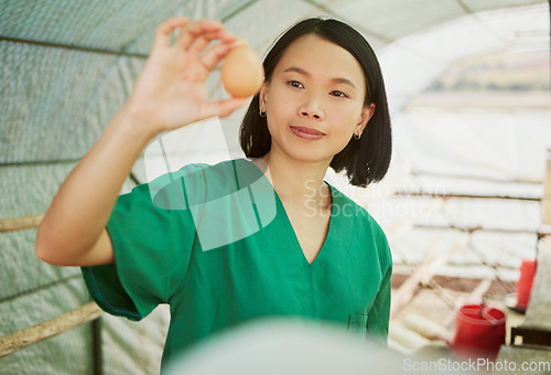 Image of Veterinary, egg and medical with woman on farm for agriculture, healthcare and quality control. Help, sustainability and safety with animal nurse in hangar for production, ecology and eggs inspection