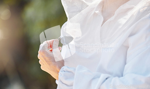 Image of Hand, zip and beekeeper uniform with a farm woman outdoor in the countryside for organic sustainability. Agriculture, farmer and beekeeping with a female agricultural working zipping up for safety