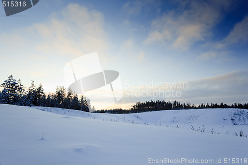 Image of Winter landscape