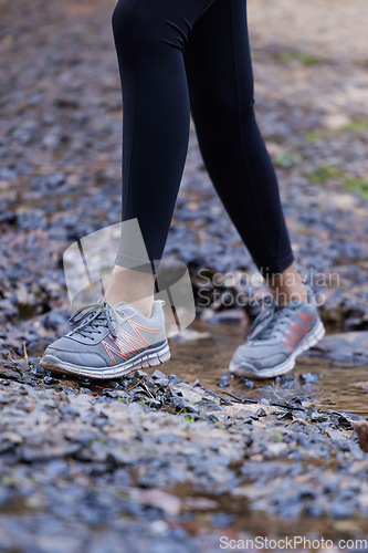 Image of Woman, running shoes and feet in mud while hiking in nature for fitness, exercise and cardio training outdoor for health, travel and wellness on adventure. Legs of female athlete walking forest path