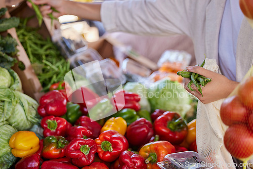 Image of Vegetables, outdoor market with woman and shopping, customer with food for nutrition and wellness, healthy diet and vegetable choice. Retail, grocery shopping and marketplace, healthy food discount.