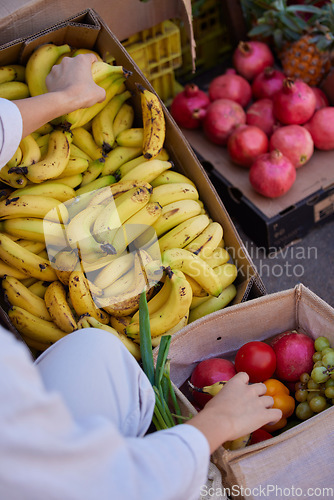 Image of Food, market and natural fruit seller selling organic produce at eco friendly, sustainable outdoors farmers market and fresh products. Healthy nutrition, environmentally friendly and fruits at stall