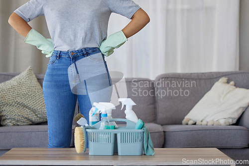 Image of Closeup of woman, cleaning and basket with product in living room, lounge and home of housekeeping, maintenance or disinfection. Cleaner, maid and ready for cleaning services with detergent container