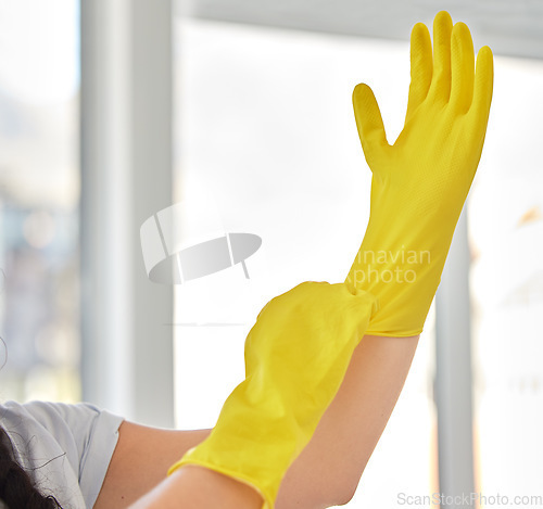 Image of Hands, woman and gloves for cleaning home, hygiene and wellness. Cleaning service, spring cleaning and female ready to start work, sanitize and disinfect to remove dust, germs or bacteria in house.