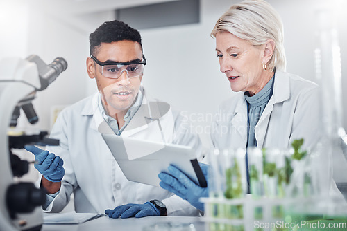 Image of Teamwork, plant science and doctors with tablet for research. Collaboration, sustainability and scientists, man and old woman with touchscreen for gmo, experiment and researching botany in laboratory