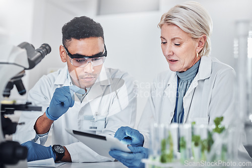Image of Scientist, man and woman with tablet, laboratory and ecofriendly science. Agriculture, research and scientists with online reading, test samples and innovation for global warming, analytics and tech.