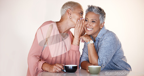 Image of Senior women, bonding or whispering secrets in coffee shop, restaurant or cafe and funny gossip, news or story. Smile, happy or retirement elderly friends whisper in ear or sharing in rumor spread