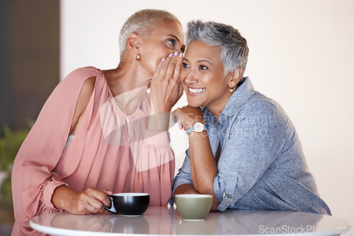 Image of Senior women, bonding or whispering secrets in coffee shop, restaurant or cafe and funny gossip, news or story. Smile, happy or retirement elderly friends whisper in ear or sharing in rumor spread