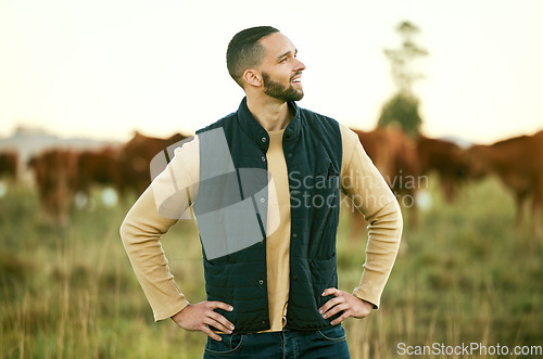 Image of Farmer, man and agriculture field with farming and view, grass with livestock and sustainability, growth and environment. Nature, outdoor and positive mindset on farm land in Texas with cattle herd.