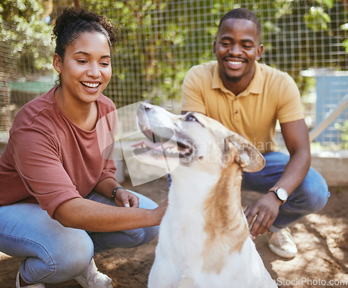 Image of Black couple, dog and pet adoption at animal shelter for welfare, charity or help for homeless pets. Love, foster care and happy man and woman bonding, caring and touching animal at kennel outdoors.