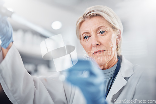 Image of Science, chemistry and beaker with woman in laboratory for research, dna and vaccine analysis. Medicine, pharmacy and innovation with expert and flask for investigation, biotechnology and experiment