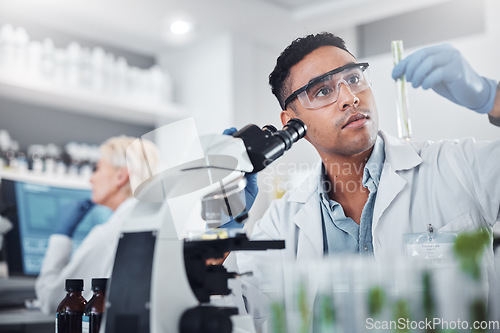 Image of Black man, scientist and lab with test tube research, microscope and focus for agriculture study with plant. Science team, glass vial and plants for medicine, pharma and stop virus, bacteria or germs