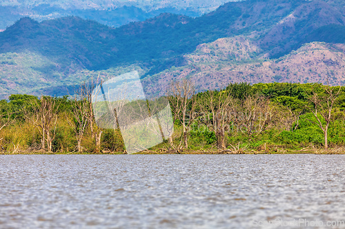 Image of Lake Chamo landscape, Ethiopia Africa