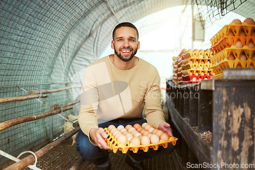 Image of Portrait, chicken farmer and man with eggs at farm in barn or chicken coop. Agro sustainability, food agriculture and happy male small business owner holding organic poultry products, egg and protein