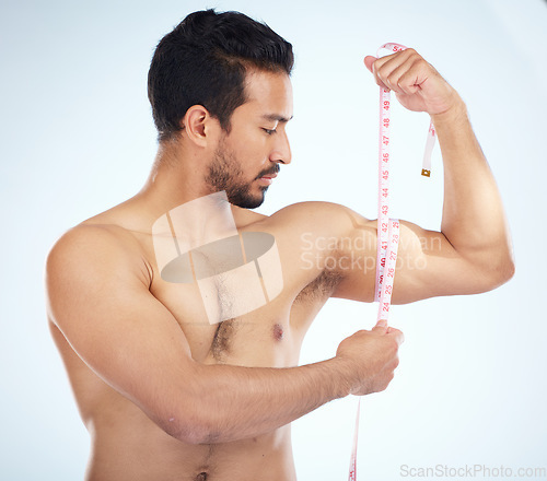 Image of Fitness, body and man with tape measure for biceps in studio on a blue background. Sports, exercise goals and male measuring arm for training, workout or muscle growth progress, results or target.