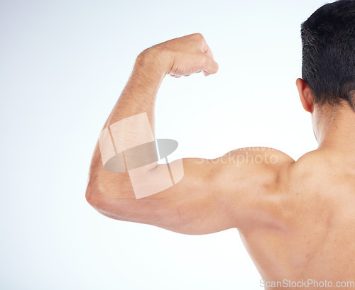 Image of Bodybuilder, muscle and closeup of bicep in studio for gym, fitness or wellness by blue background. Model, growth or development for strong, healthy flex or exercise in workout, training or body goal