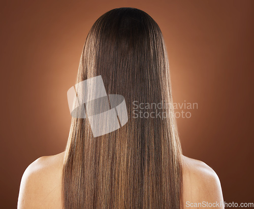 Image of Woman, back or hair style on brown background in relax studio for keratin treatment, self care wellness or color dye routine. Model, texture or brunette growth aesthetic with balayage transformation