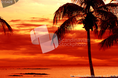 Image of orange sunset on tropical island with palm