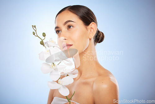 Image of Beauty, skincare and woman with an orchid in a studio for a health, wellness and natural face routine. Cosmetic, self care and girl model with clear skin from spa facial treatment by blue background.