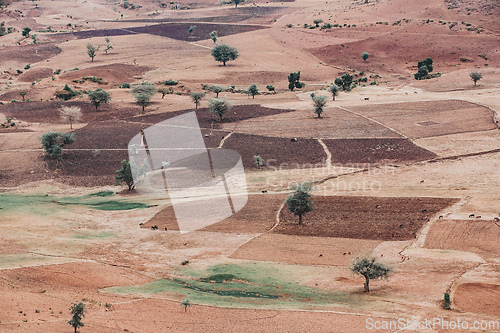 Image of landscape with field near Gondar, Ethiopia