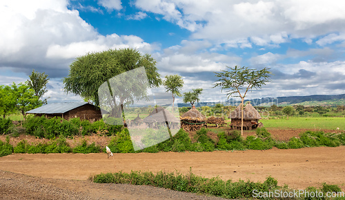 Image of mountain landscape with farm, Ethiopia