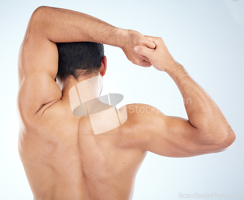 Image of Man, fitness stretching and back view for muscle wellness, body care and sports exercise or warm up in studio. Athlete, arm stretch and bodybuilder training, healthy performance or spine workout
