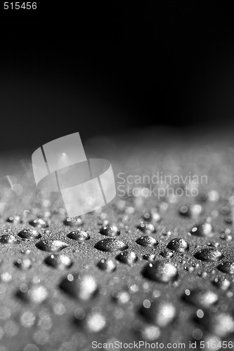 Image of water drops