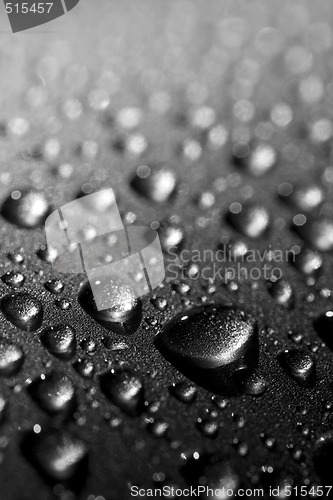 Image of water drops