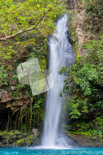 Image of Catarata La Cangreja - Guanacaste, Costa Rica