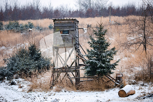 Image of Wooden hunting tower in forest