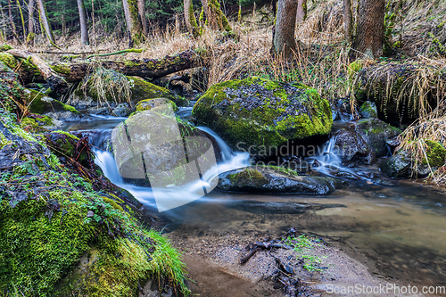 Image of Small forest creek in a woodland