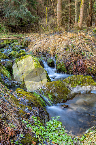 Image of Small forest creek in a woodland