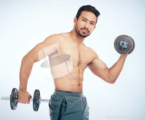 Image of Bodybuilder man, dumbbell and portrait in studio for health, exercise and fitness with balance. Bodybuilding, muscle development and focus with strong arm, wellness and workout by studio background