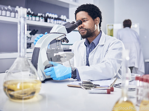 Image of Microscope, scientist and black man with research, healthcare and diagnosis in laboratory. Science, African American male and lab equipment for cure, check sample for illness, virus and innovation.