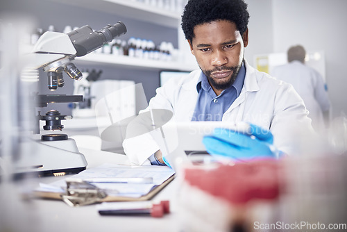 Image of Science, research and black man with tablet, focus and innovation for healthcare and laboratory. Scientist, researcher or medical professional for diagnosis, concentration and online for cure or tech