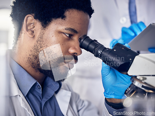 Image of Black man, scientist and microscope with science research in laboratory, data analysis and expert with scientific or medical innovation. Phd doctor, face and biotechnology, chemistry and study in lab