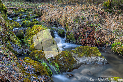 Image of Small forest creek in a woodland