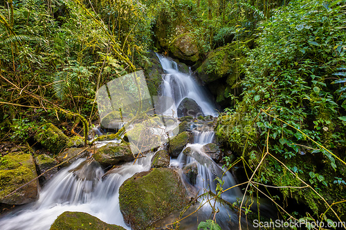 Image of Wild mountain river. San Gerardo de Dota, Costa Rica.